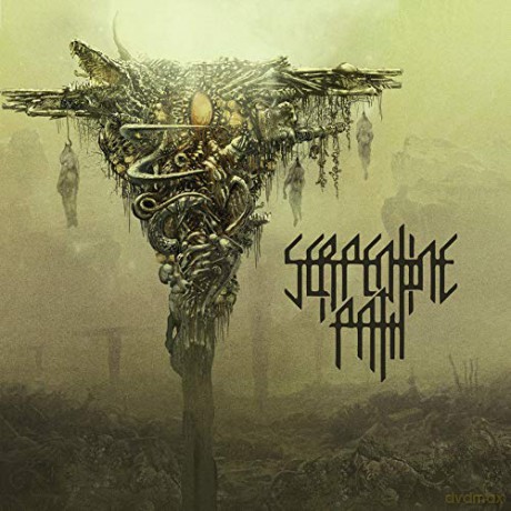 Serpentine Path: Serpentine Path [Winyl]