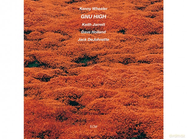 Kenny Wheeler: Gnu High (Luminessence Series) [Winyl]