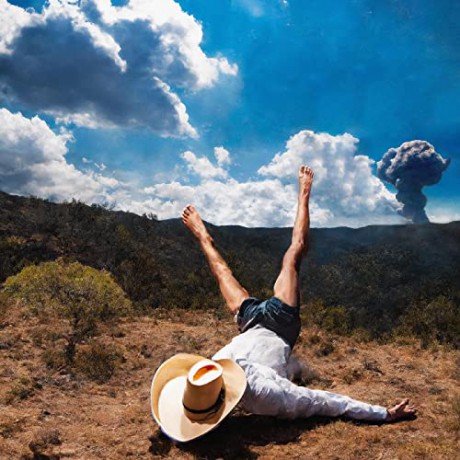 Geese: 3D Country [Winyl]