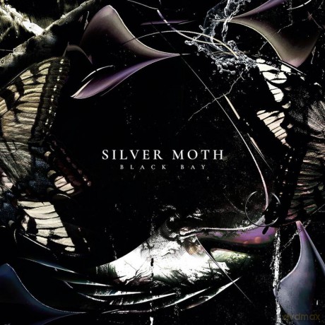 Silver Moth: Black Bay [Winyl]