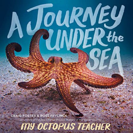 A Journey Under the Sea - Craig Foster [KSIĄŻKA]