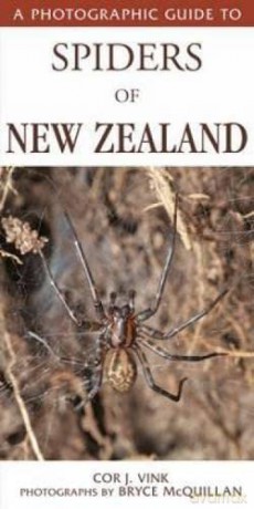 A Photographic Guide to Spiders of New Zealand - Cor Vink [KSIĄŻKA]