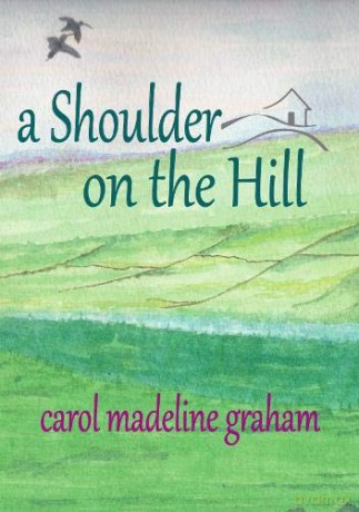 A Shoulder on the Hill - Carol Graham [KSIĄŻKA]