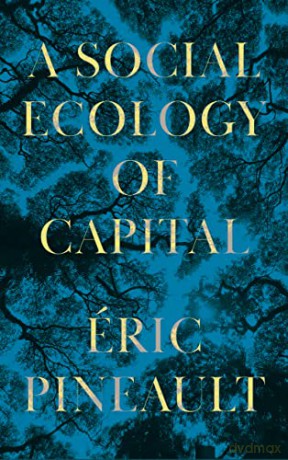 A Social Ecology of Capital - Éric Pineault [KSIĄŻKA]
