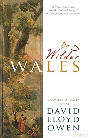 A Wilder Wales: Travellers' Tales 1610-1831 - David Lloyd Owen [KSIĄŻKA]
