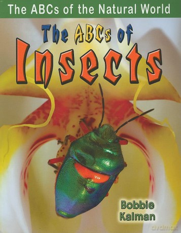 ABCs of Insects - Kalman Bobbie [KSIĄŻKA]