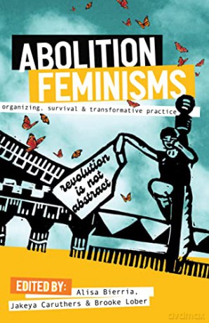 Abolition Feminisms Vol. 1: Organizing, Survival, and Transformative Practice - Alisa Bierria [KSIĄŻKA]