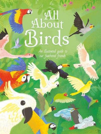 All About Birds: An Illustrated Guide to Our Feathered Friends - Polly Cheeseman [KSIĄŻKA]