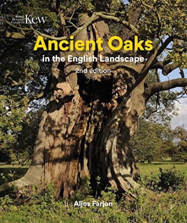 Ancient Oaks in the English Landscape - Aljos Farjon [KSIĄŻKA]