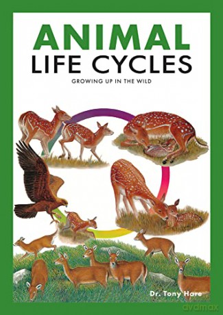 Animal Life Cycles: Discovering How Animals Live in the Wild - Tony Hare [KSIĄŻKA]