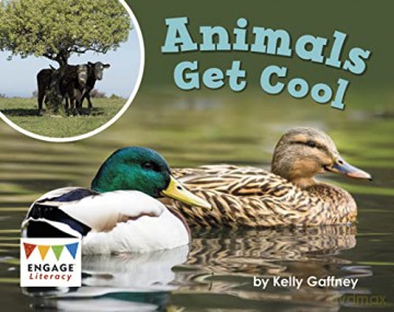 Animals Get Cool - Kelly Gaffney [KSIĄŻKA]