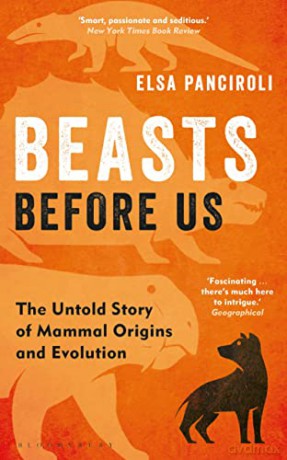 Beasts Before Us: The Untold Story of Mammal Origins and Evolution - Elsa Panciroli [KSIĄŻKA]