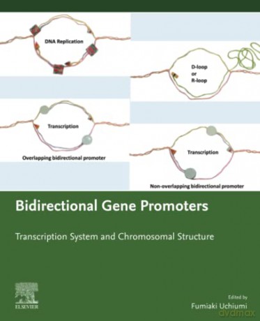 Bidirectional Gene Promoters: Transcription system and chromosomal structure - Uchiumi [KSIĄŻKA]