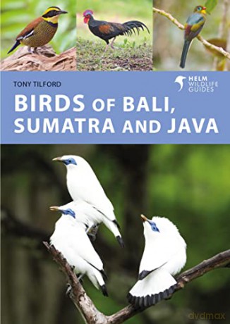 Birds of Bali, Sumatra and Java - Tony Tilford [KSIĄŻKA]