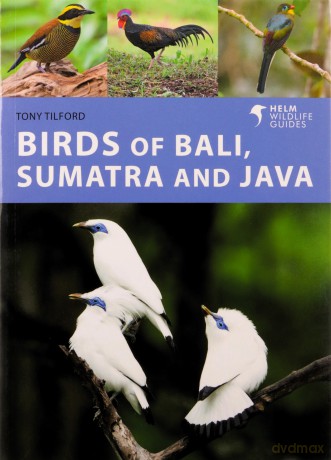 Birds of Bali, Sumatra and Java - Tony Tilford [KSIĄŻKA]