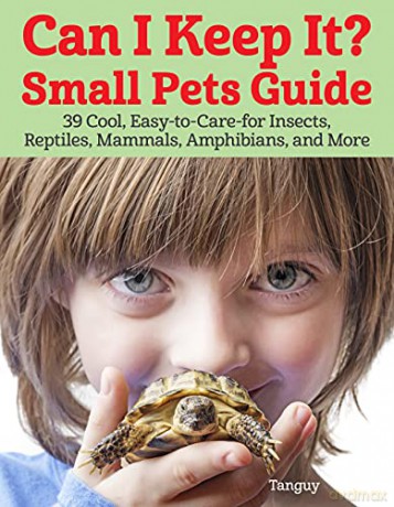 Can I Keep It Small Pets Guide: 39 Cool, Easy-to-Care-for Insects, Reptiles, Mammals, Amphibians, and More - Tanguy [KSIĄŻKA]