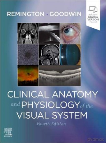 Clinical Anatomy and Physiology of the Visual System - Lee Ann Remington OD MS FAAO [KSIĄŻKA]