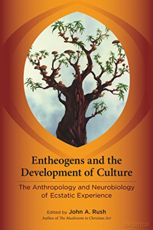 Entheogens and the Development of Culture: The Anthropology and Neurobiology of Ecstatic Experience--Essays - John Rush [KSIĄŻKA]