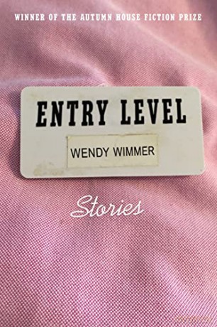 Entry Level: Stories - Wendy Wimmer [KSIĄŻKA]
