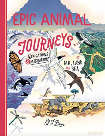Epic Animal Journeys: Migration and navigation by air, land and sea - Ed J. Brown [KSIĄŻKA]