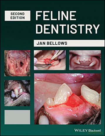 Feline Dentistry: Oral Assessment, Treatment, and Preventative Care - Jan Bellows [KSIĄŻKA]