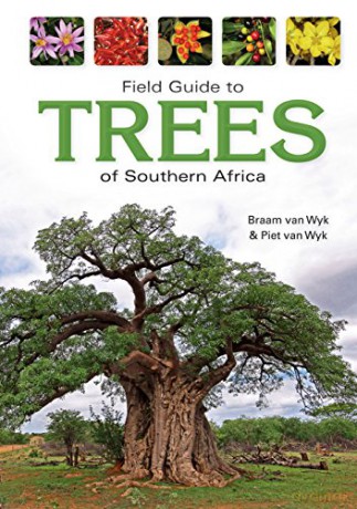 Field Guide to Trees of Southern Africa - Braam van Wyk [KSIĄŻKA]