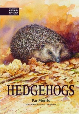 Hedgehogs - Pat Morris [KSIĄŻKA]