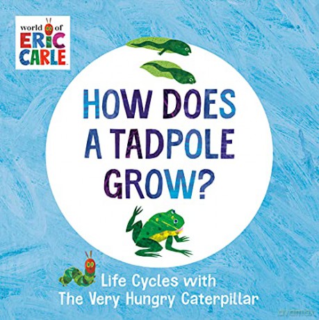 How Does a Tadpole Grow: Life Cycles with The Very Hungry Caterpillar - Eric Carle [KSIĄŻKA]