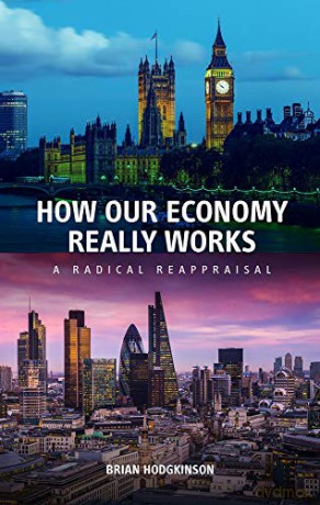 How our Economy Really Works: A Radical Reappraisal - Brian Hodgkinson [KSIĄŻKA]