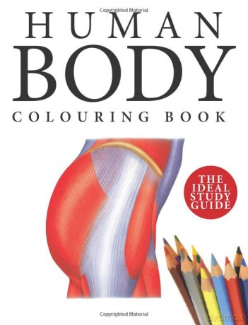 Human Body Colouring Book: Human Anatomy in 215 Illustrations - Peter Abrahams [KSIĄŻKA]