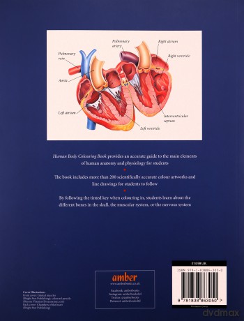 Human Body Colouring Book: Human Anatomy in 215 Illustrations - Peter Abrahams [KSIĄŻKA]