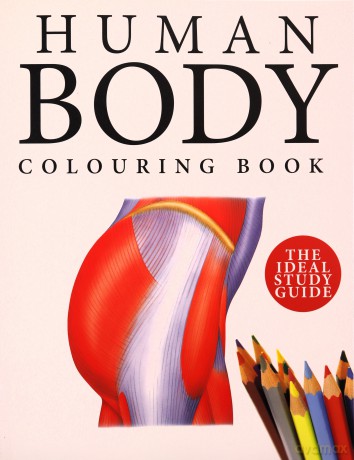 Human Body Colouring Book: Human Anatomy in 215 Illustrations - Peter Abrahams [KSIĄŻKA]