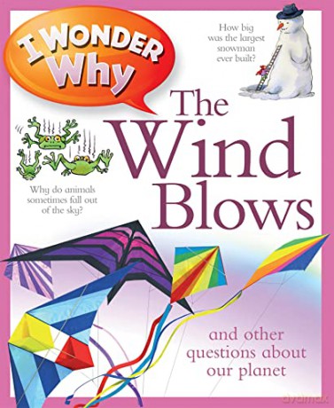 I Wonder Why The Wind Blows - Anita Ganeri [KSIĄŻKA]