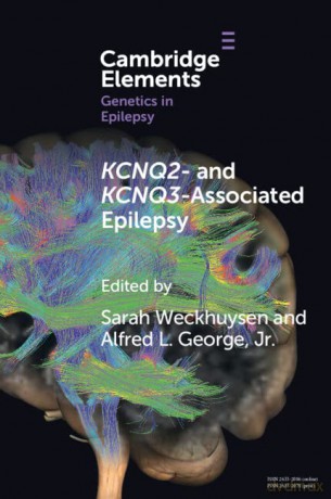 KCNQ2- and KCNQ3-Associated Epilepsy - Sarah Weckhuysen [KSIĄŻKA]