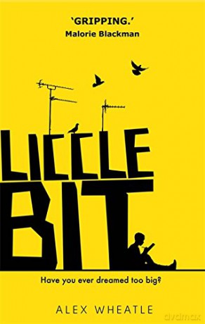Liccle Bit: Book 1 - Alex Wheatle [KSIĄŻKA]