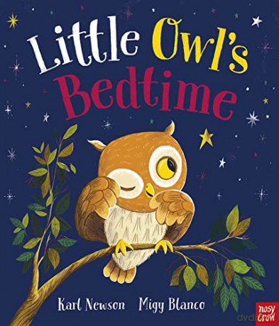Little Owl's Bedtime - Karl Newson [KSIĄŻKA]