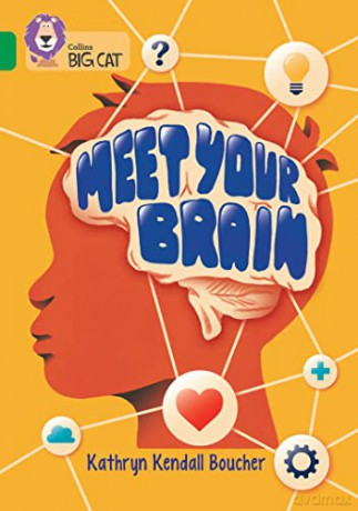 Meet Your Brain: Band 15/Emerald - Kathryn Kendall Boucher [KSIĄŻKA]