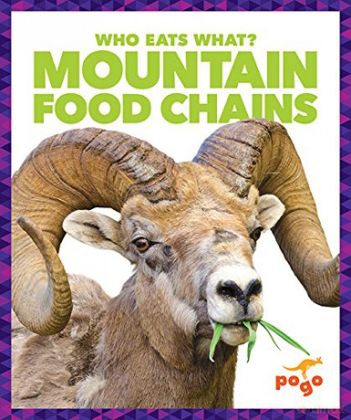 Mountain Food Chains - Rebecca Pettiford [KSIĄŻKA]