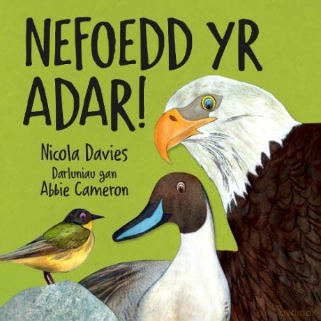 Nefoedd Yr Adar!: 3 - Nicola Davies [KSIĄŻKA]