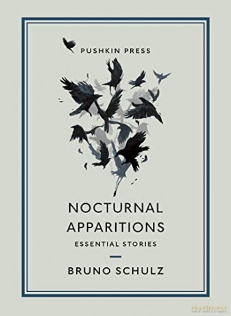 Nocturnal Apparitions: Essential Stories - Bruno Schulz [KSIĄŻKA]