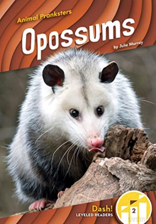 Opossums - Julie Murray [KSIĄŻKA]