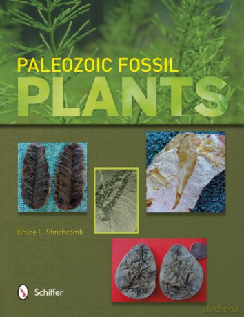 Paleozoic Fossil Plants - Bruce L Stinchcomb [KSIĄŻKA]