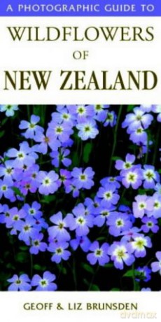 Photographic Guide to Wildflowers of New Zealand - Geoff Brunsden [KSIĄŻKA]