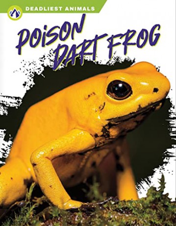 Poison Dart Frog - Golriz Golkar [KSIĄŻKA]