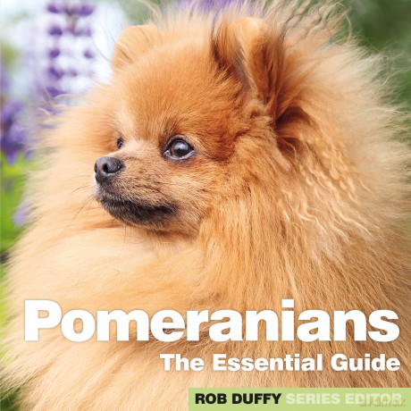 Pomeranians [KSIĄŻKA]