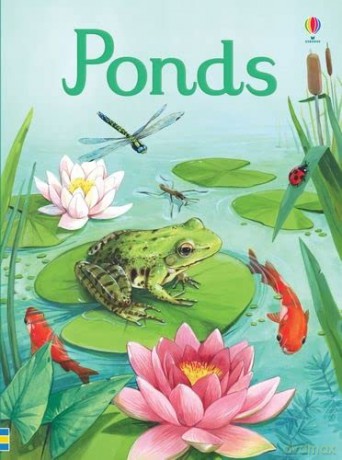 Ponds - Emily Bone [KSIĄŻKA]