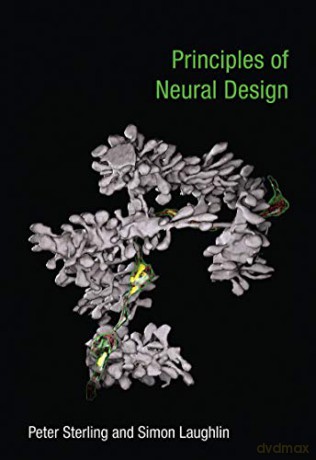 Principles of Neural Design - Peter Sterling [KSIĄŻKA]