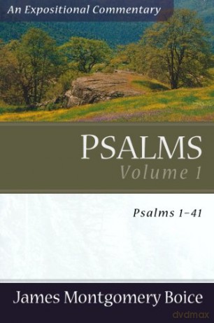 Psalms Voume 1: Psalms 141 - Dr. James Montgomery Boice [KSIĄŻKA]