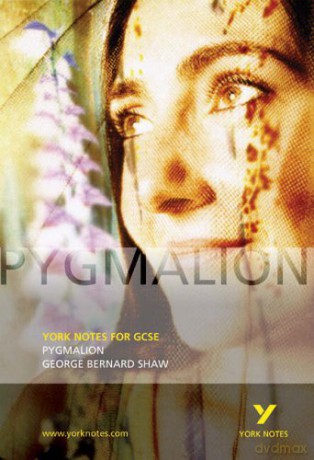 Pygmalion - Martin Walker [KSIĄŻKA]