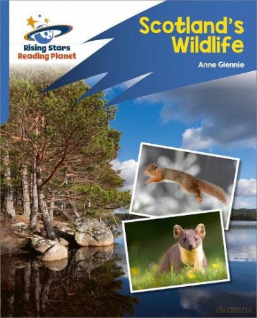 Reading Planet: Rocket Phonics - Target Practice - Scotland's Wildlife - Blue - Abigail Steel [KSIĄŻKA]